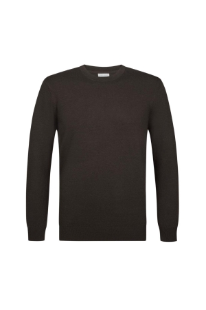 Profuomo Pullover