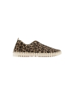 Schoen